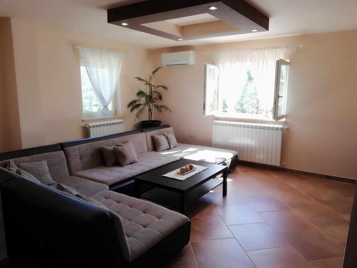 Apartman Nikola Ladrovici Exterior foto